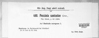 Puccinia saniculae image